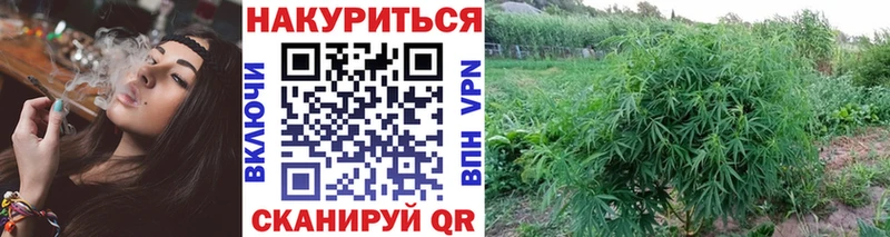 Купить Сокол Альфа ПВП  Мефедрон  Бошки Шишки 