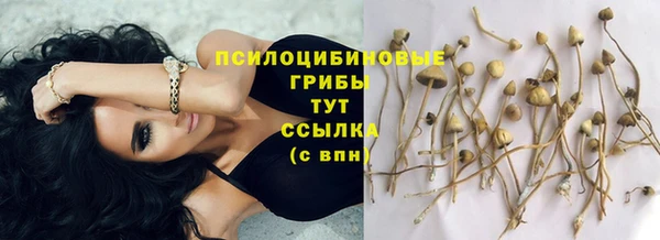 мет Гусиноозёрск