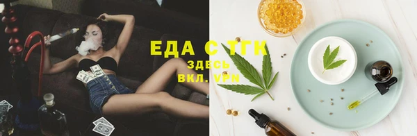 СК Гусев
