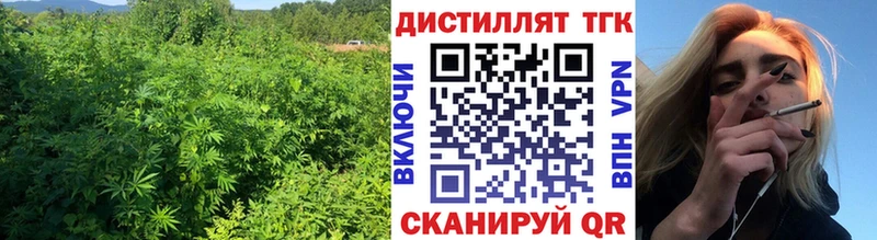 что такое   Сокол  Дистиллят ТГК гашишное масло 